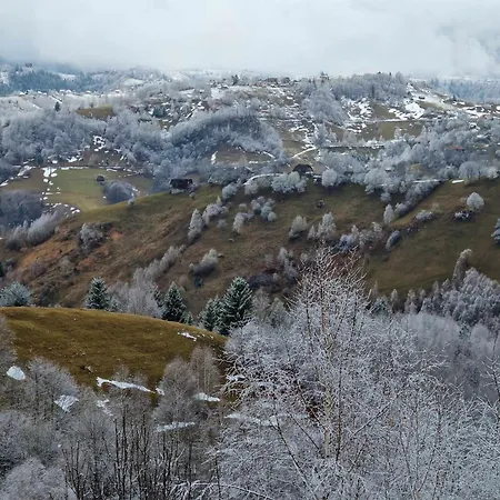 Alpine Escape Măgura