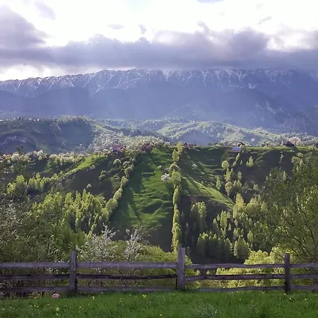 Alpine Escape