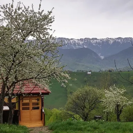 Lodge Alpine Escape Măgura