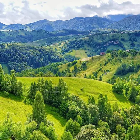 Lodge Alpine Escape Măgura