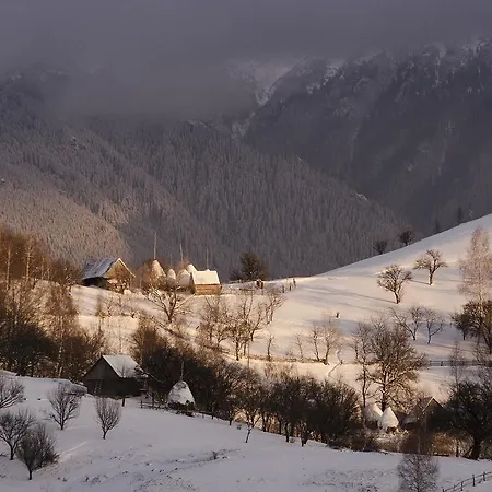 Alpine Escape Lodge