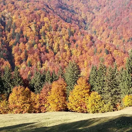 Alpine Escape *